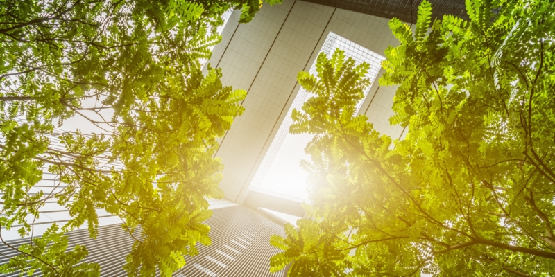 portion of trees against office buildings,Hong Kong,china.