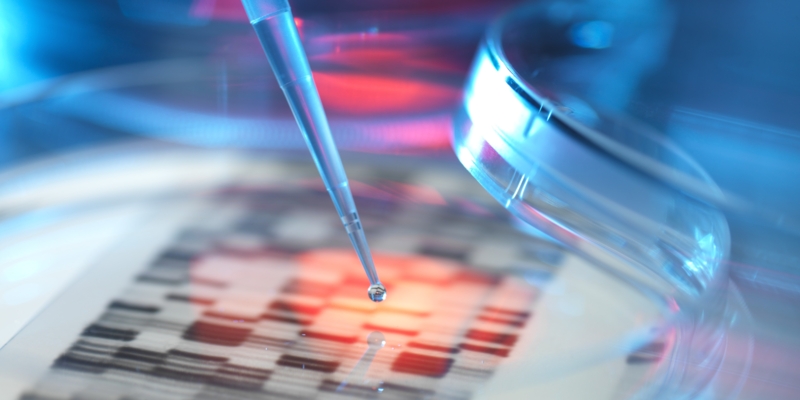 Genetic research, conceptual image. DNA (deoxyribonucleic acid) autoradiogram in a petri dish.