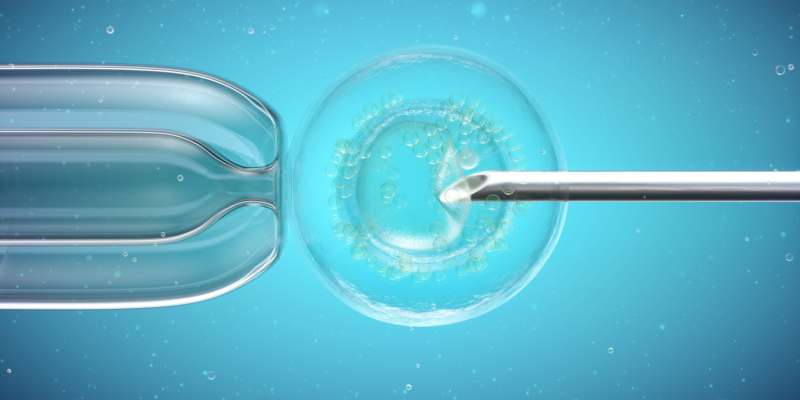 In vitro fertilisation (IVF), computer illustration