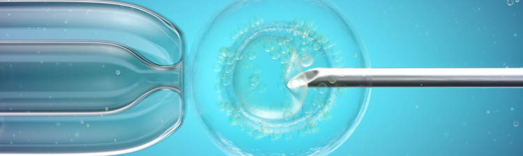 In vitro fertilisation (IVF), computer illustration