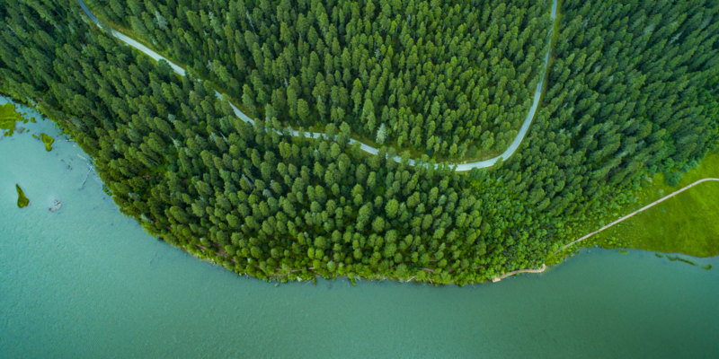 Aerial view of a road in the middle of the forest,along a lake