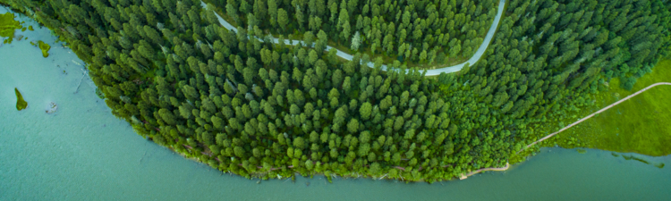 Aerial view of a road in the middle of the forest,along a lake