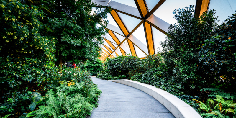 High-tech timber structure above a public park in Canary Wharf London