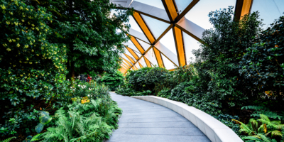 High-tech timber structure above a public park in Canary Wharf London