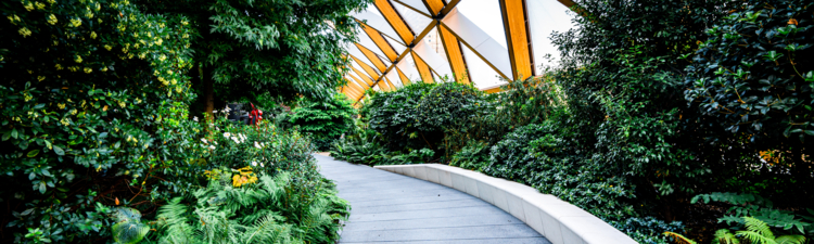 High-tech timber structure above a public park in Canary Wharf London