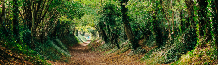 Halnaker in West Sussex, UK