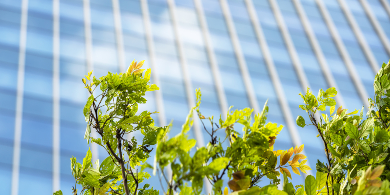 Buildings and green