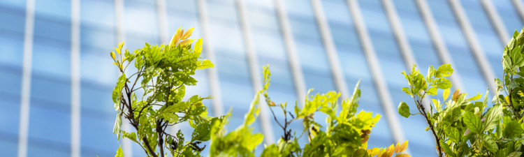 Buildings and green