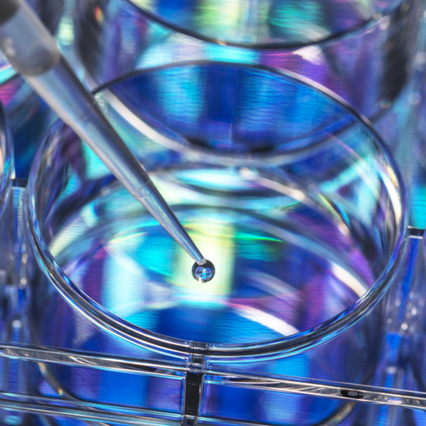 Pipetting a DNA (deoxyribonucleic acid) sample into a multiwell plate with DNA information in the background