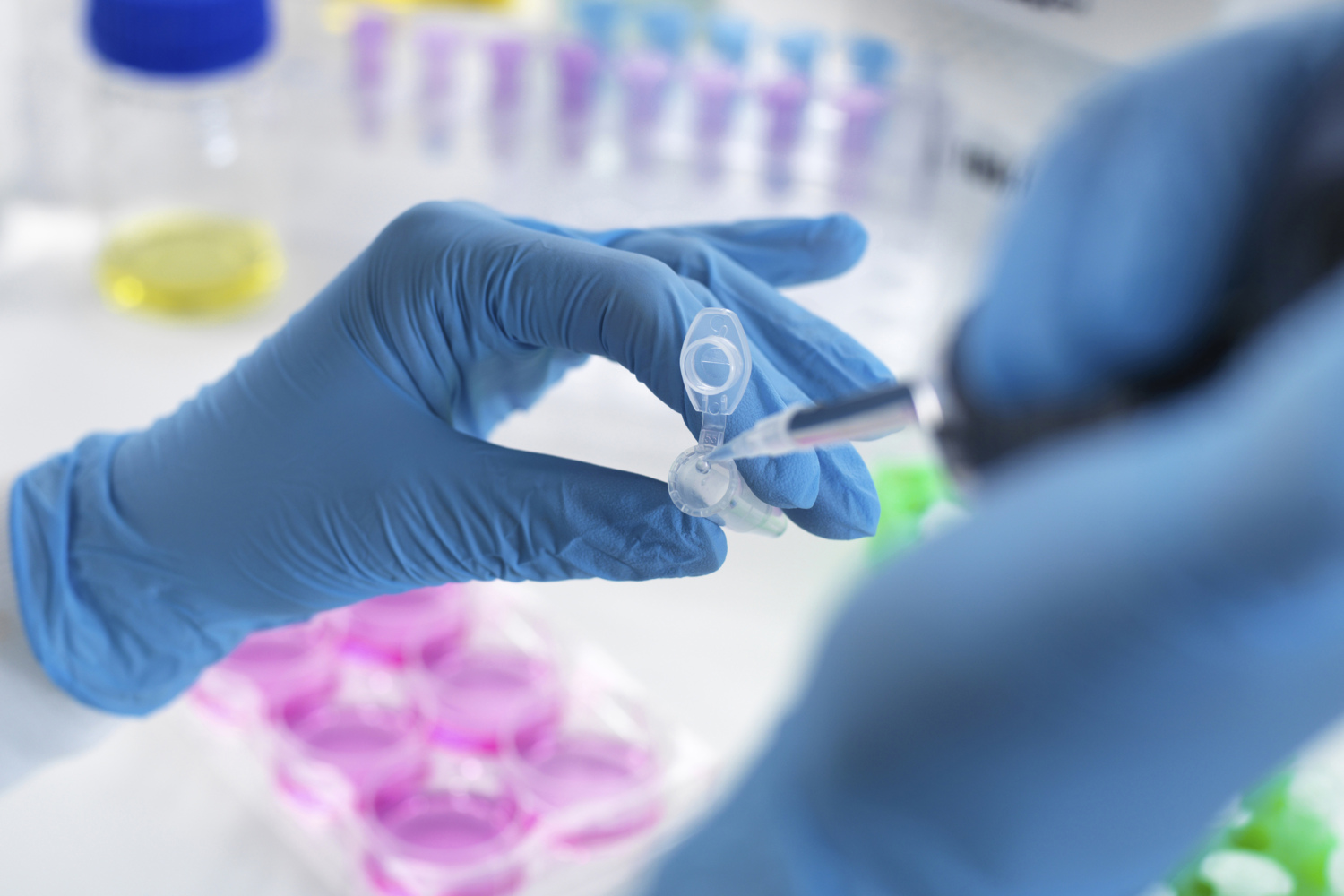 Gloved hands pipetting liquid into a vial